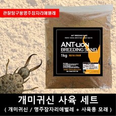 개미키우기 TOP01