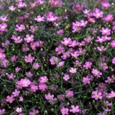 95ab08a545174e8e45f1aa690fe822cec40ca5b6363cac3933e5d0cbccb0.jpg