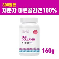 저분자 어린콜라겐c 펩타이드 분말 100% 300달톤 초저분자 피쉬콜라겐 가루 수용성 어류콜라겐 파우더 가수분해 300da 흡수율높은 명태껍질 생선콜라겐 트리펩타이드 효능 직구 식약처 검사필 인증 추천, 브레인비 1통, 1개