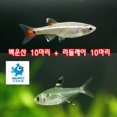 7c25e7ff85b08e7cc0acc1d82c197272700ea3abca7acc8cb87c7401b99b.jpg