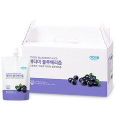 애터미블루베리즙