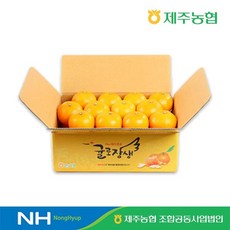 제주농협 귤로장생 천혜향 4kg 로얄과(13-19입) -인증, 1개