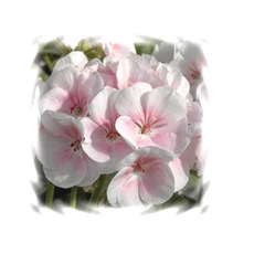 4c9072fd1d065f116caba1ee859b55d60040f86c51f97c8f860aa3c7f885.png