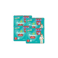 팸퍼스아르모니샘플