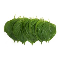 2de9ab738d8f9b5bdfa887d0aaa2304b7274a46ba12353ef1aec6a973de5.jpg