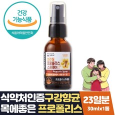 비염에좋은영양제