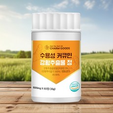 수용성 커큐민 인도산 강황추출물 영지버섯 참당귀 추출분말 케르세틴 프락토올리고당 혼합유산균 함유, 1개, 60정