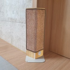 전수환군수직
