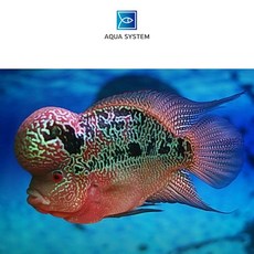 d4ebea414076fabb2b3139c0e55a37cf806c09aee4846e88a92035b4c0b6.jpg