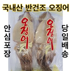 유성일등 동해안 쫄깃쫄깃 반건조 오징어, 10개, 1.2kg (大)