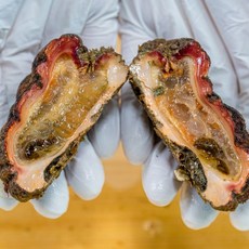 프리미엄 바다향물씨나는 쫄깃한 자연산 돌멍게, 1박스, 1kg(8-13미)