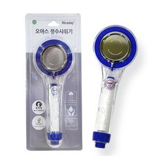 대천데이나이스