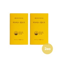 피토틱스옐로우
