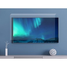 65인치티비보호기