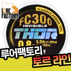 베이직fc3호