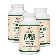 더블우드 남성 트리뷸러스 추출물 테라스트리스 1000mg Double Wood Tribulus Terrestris, 3개, 210정