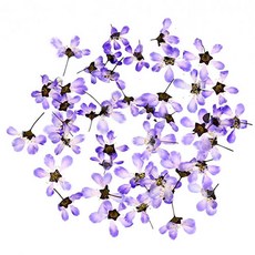 791d2f7ba7d56940b9544ea059c019f07825fee696df3395926e93722150.jpg