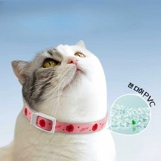BEYOND 강아지인식표목걸이 애견목걸이 목걸이 강아지, 1개, 상세 페이지 참고