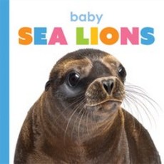 Baby Sea Lions, Creative Paperbacks