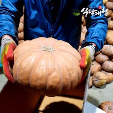 [식탐대첩] 국내산 잘익은 늙은호박 3-4kg (1-2통), 1개, 상세 설명 참조