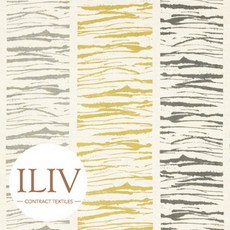 iliv원단