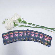 플로라라이프 5ml x 10개입 꽃 절화 생화 보존 수명 연장제 영양제 플라워푸드 절화영양제