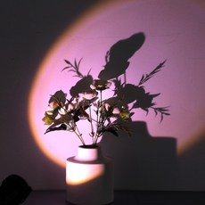 유팡대여
