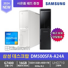 삼성 데스크탑5 DM500SFA-A24A, 16GB NVMe512GB+HDD1TB, 블랙, 16GB