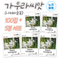 가우라 나비바늘꽃 씨앗 100립 x 5봉 세트 화이트 노지월동 다년생 야생화 꽃씨 봄 여름 가을 파종, 5개