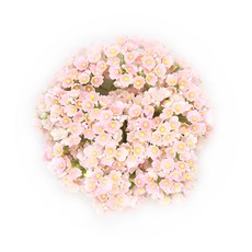 일산부케만들기
