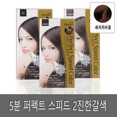 진한갈색 칼라 (감동) 염색크림 오징어먹물 멋내기 염색약 트리트먼트 새치염색 헤어틴트커버 새치빗 헤어컬러트리트먼트 헤어쿠션 물염색~《qNs'7》~ ;TdR&f.13My~#EA, 1, 본상품선택, 본상품선택