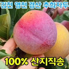 경산전통주체험