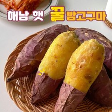 화산밤고구마