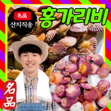 국내산가리비관자