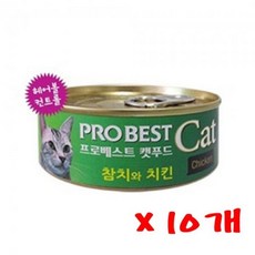 프로베스트 캣푸드 캔 80g(참치와치킨) 10개 고양이캔, 본상품선택
