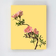 약혜비수