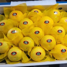 제주 황금향 선물세트 중과 / 2.5kg(14-18과), 1개