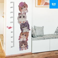 힘찬쇼핑_ 성장기록 키재기 시트지 고양이 신장계 키측정 키재기스티커 아이방 신장측정 성장기록 키재기 시트지 고양이, 1