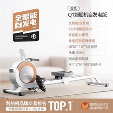 로잉머신 가정용 노젓기 유산소 홈트 전신 헬스 근력 운동기구