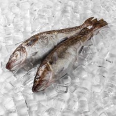 동해안 대구 지리 탕 찜 2kg 냉동, 1개, 2kg(3-5미 내외)