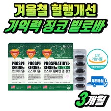 겨울철 시니어 팔 다리 혈행개선 항산화 건강기능식품 뇌 두뇌 혈행 인지 기능 개선 60대 중장년 남자 남성 여자 여성 기억력 인지력 기억력 저하 감퇴 포스파트딜세린 은행잎