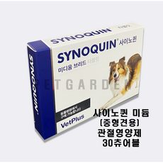 사이노퀸중형견