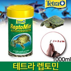 렙토민1000ml