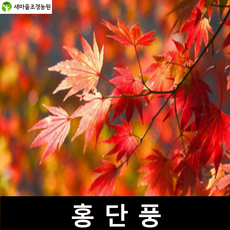 26465a8937c61b9f83fce47922bfa7813b95fd41d6fd5f847d3f70ee8e02.png