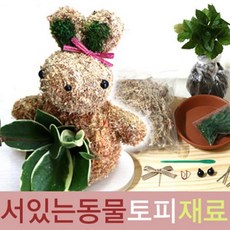 토피어리준비물
