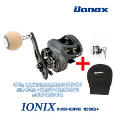 바낙스아이오닉스인쇼어