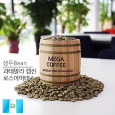 일디오 생두 과테말라 캡진 로스아마테스 5kg, 본품