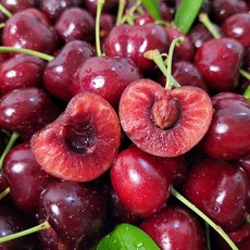 미국 캘리포니아 프리미엄 고당도 생체리