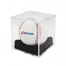 고급형야구공케이스