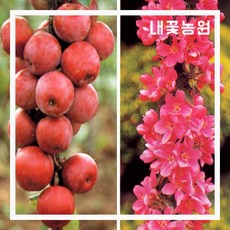 화주집요